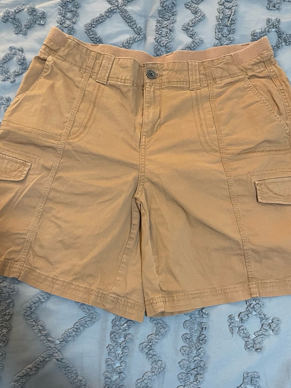 Style & Co. Brown Casual Shorts